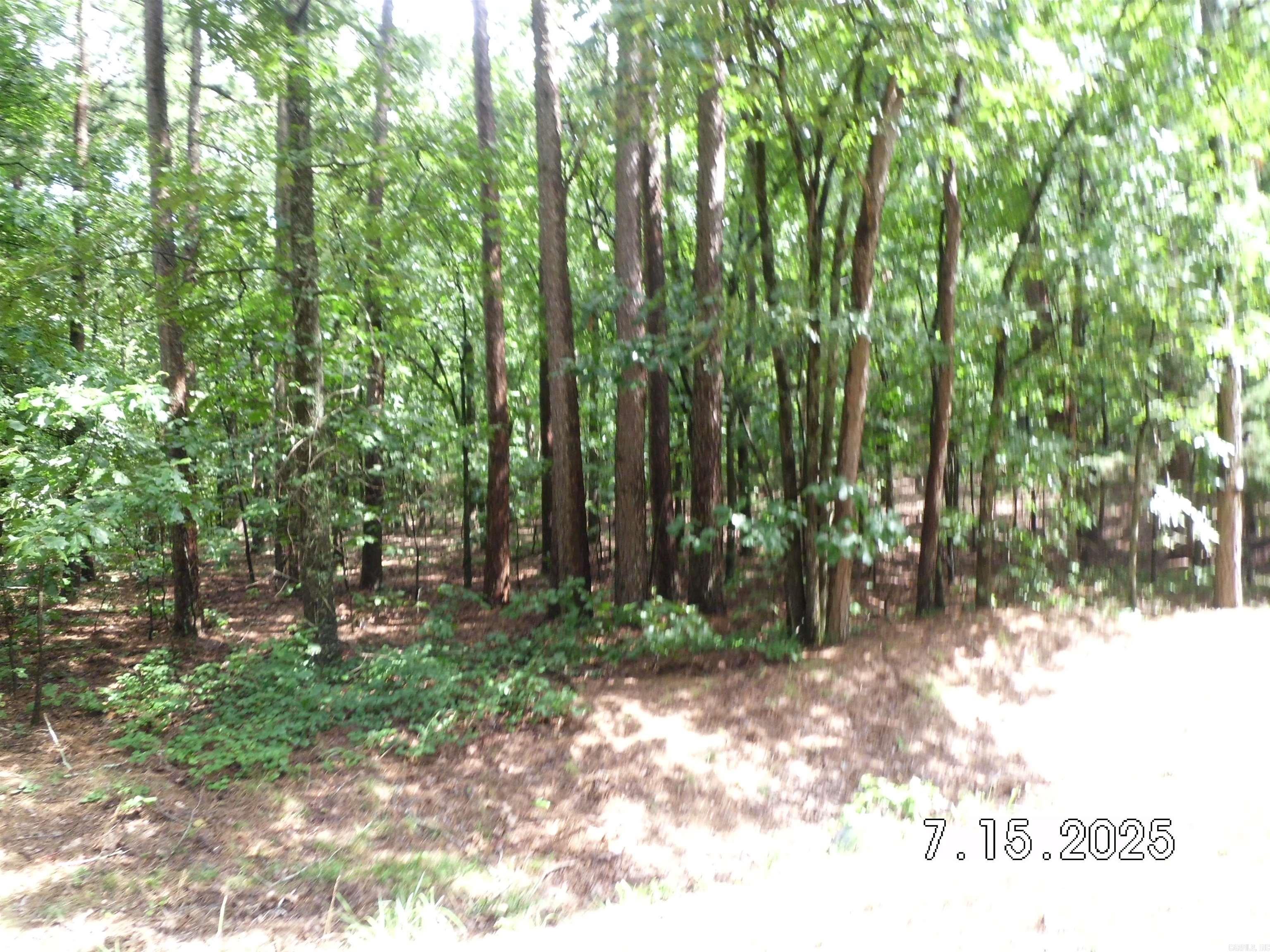 Lots 44 & 45 Lakeview  Heber Springs, AR