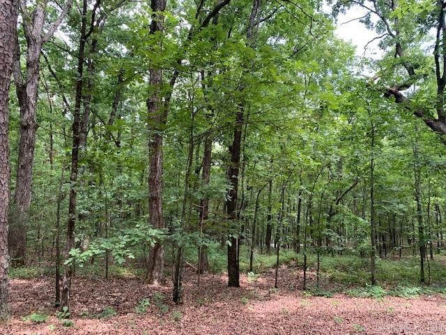 Lots 44 & 45 Lakeview  Heber Springs, AR