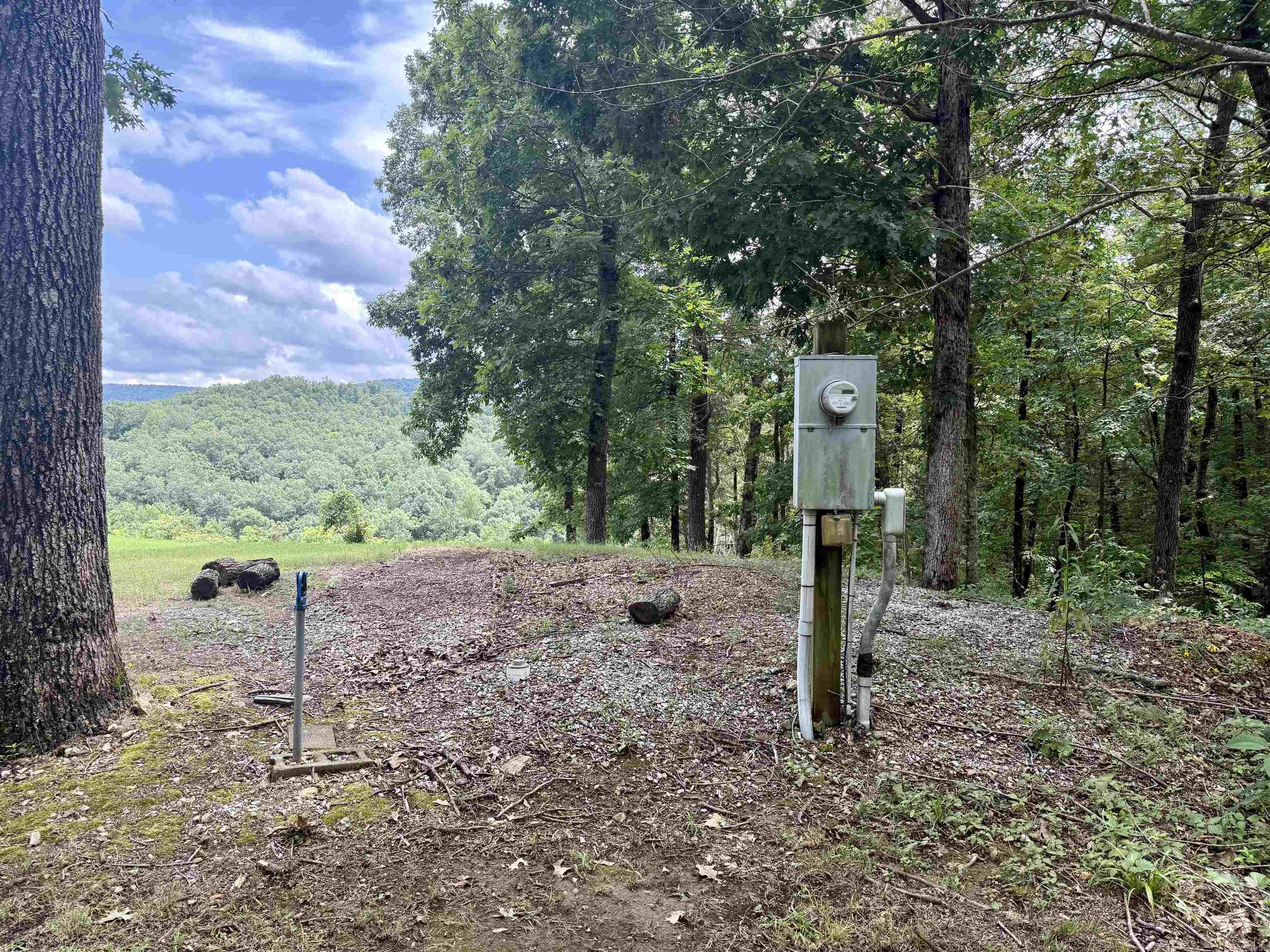 1491 Cedar Hills Dr Drive Mountain View, AR 72560