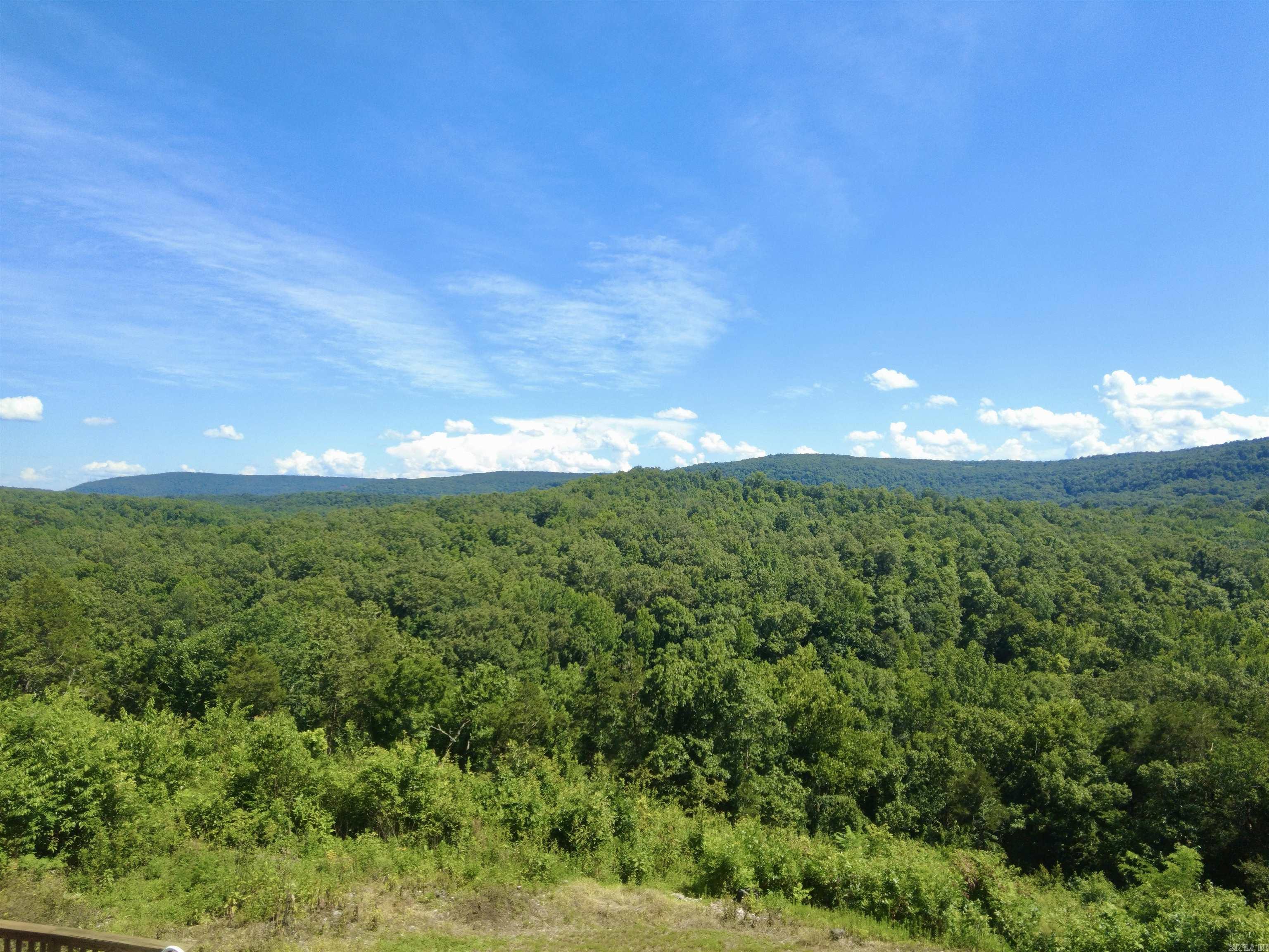 1491 Cedar Hills Dr Drive Mountain View, AR 72560
