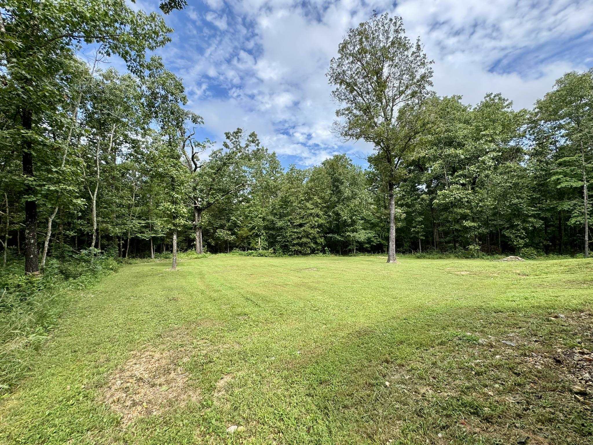 1120 Rodney Cutoff Road  Dolph, AR