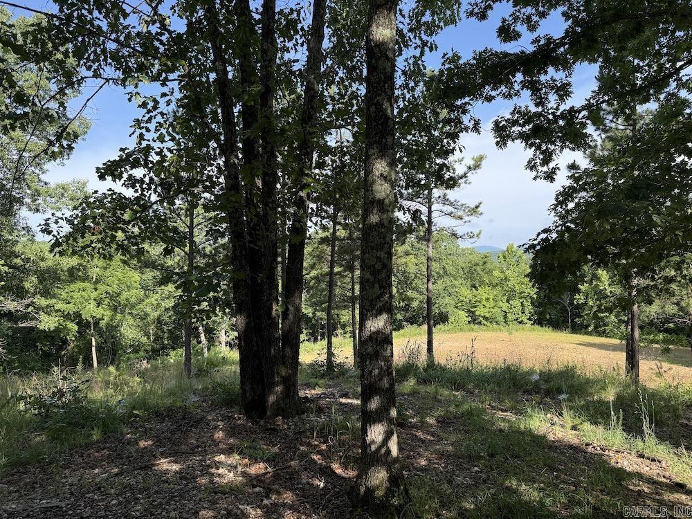  Cane Branch Road  Western Grove, AR