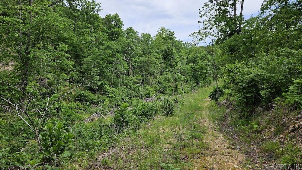 163 CR 5162  Huntsville, AR
