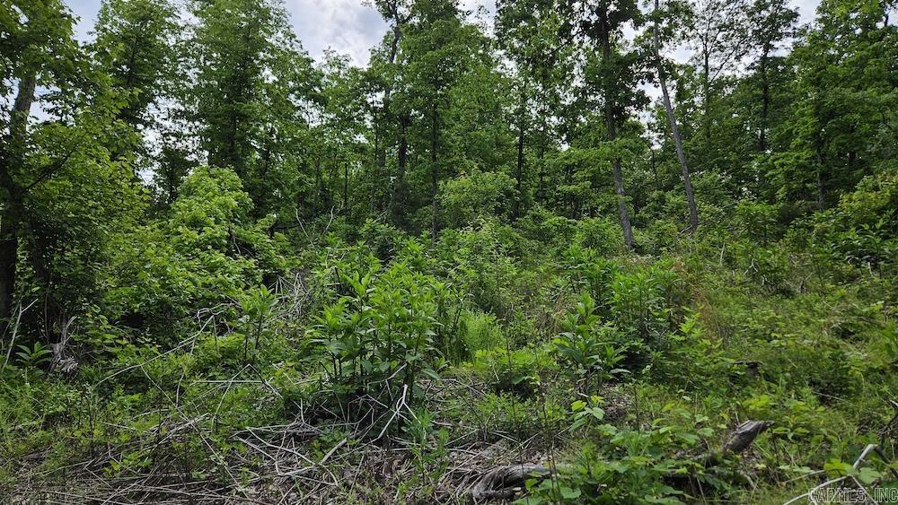 163 CR 5162  Huntsville, AR