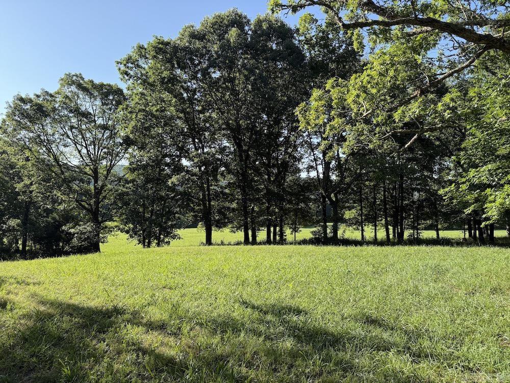  CR 168  Deer, AR