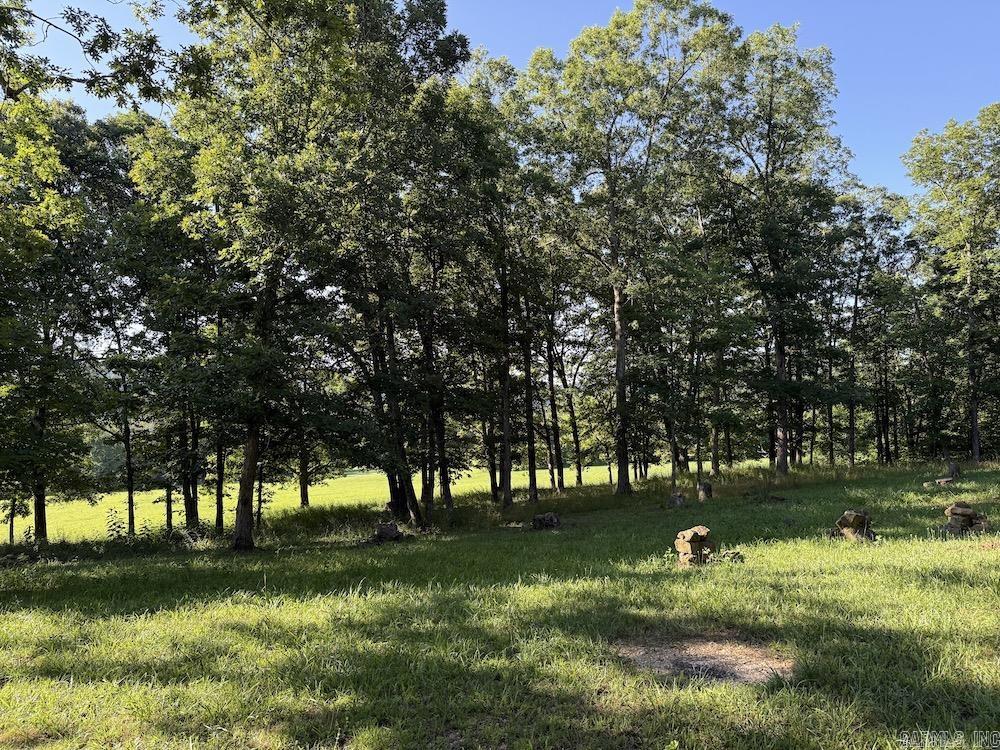  CR 168  Deer, AR