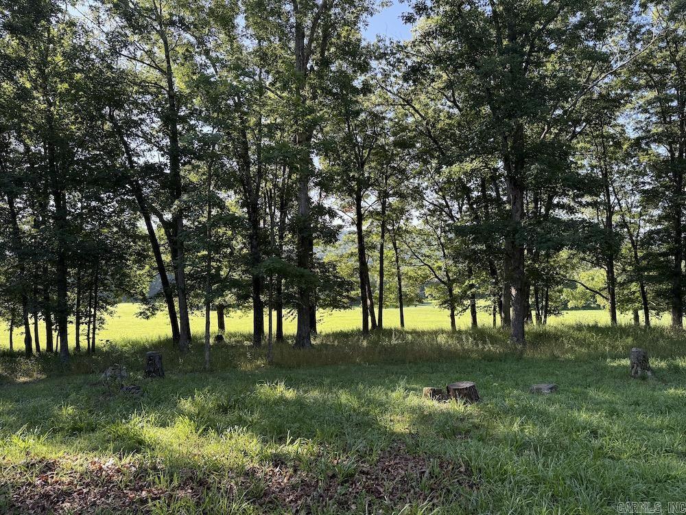 CR 168  Deer, AR