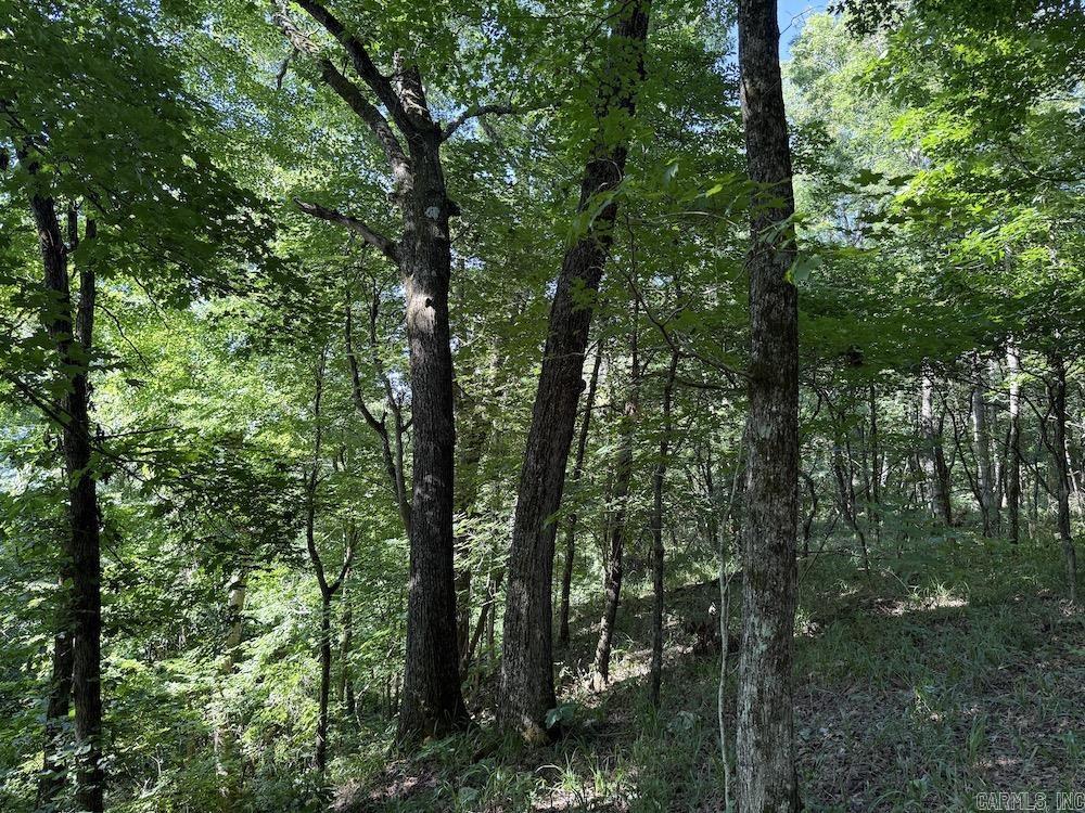  CR 168  Deer, AR