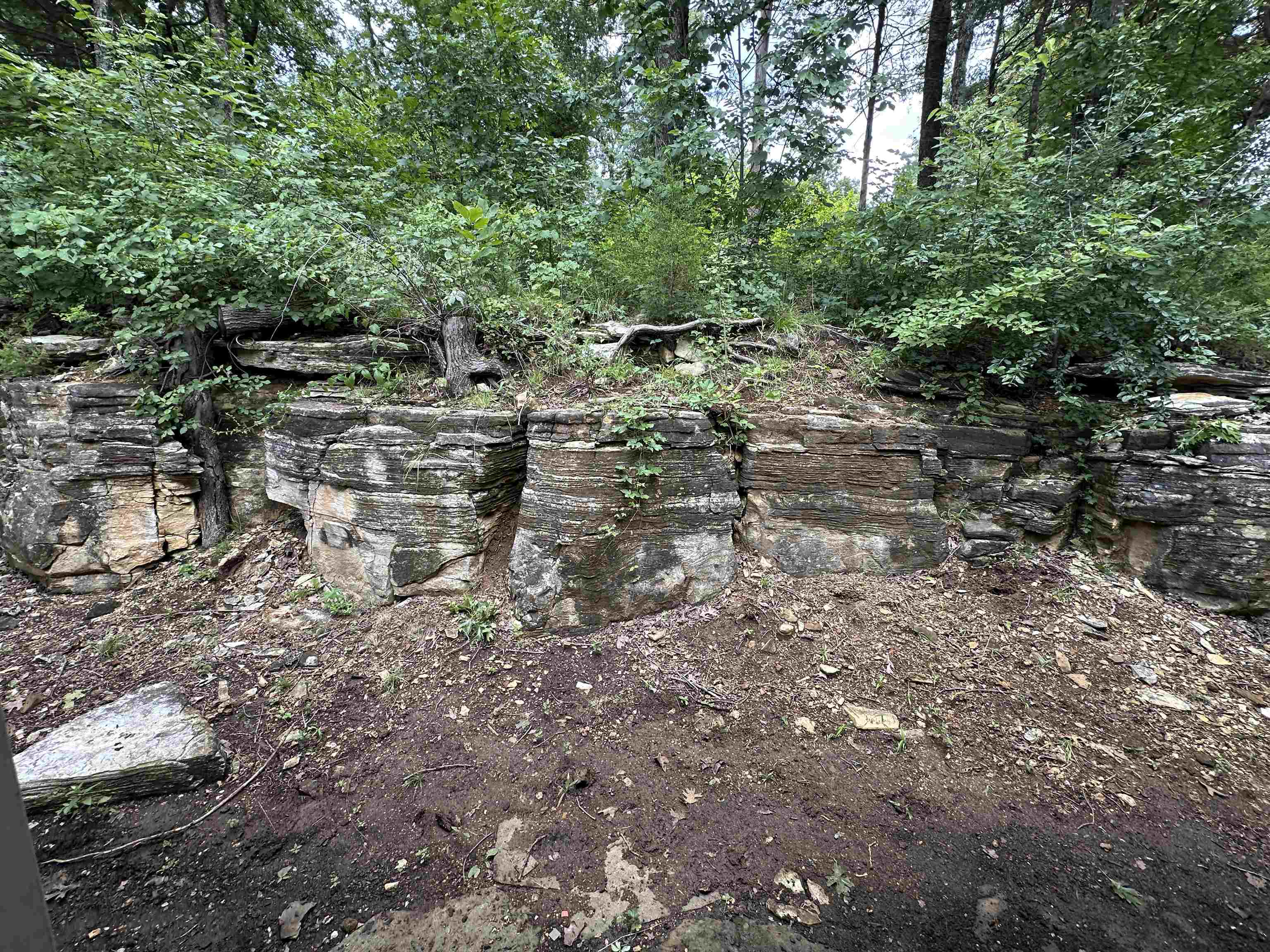 106 MC 3063  Yellville, AR