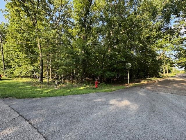 002-06256-000 Mallard Point  Mountain Home, AR