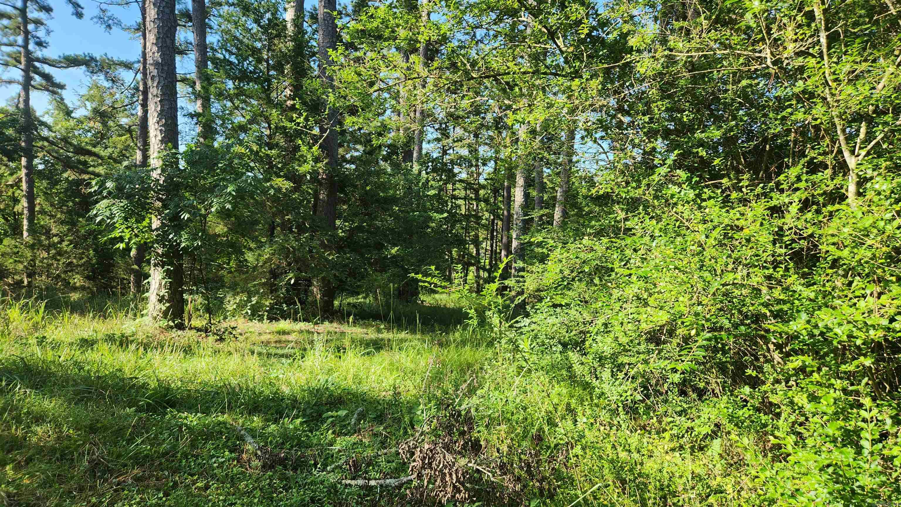 1193 W Hwy 270  Mount Ida, AR