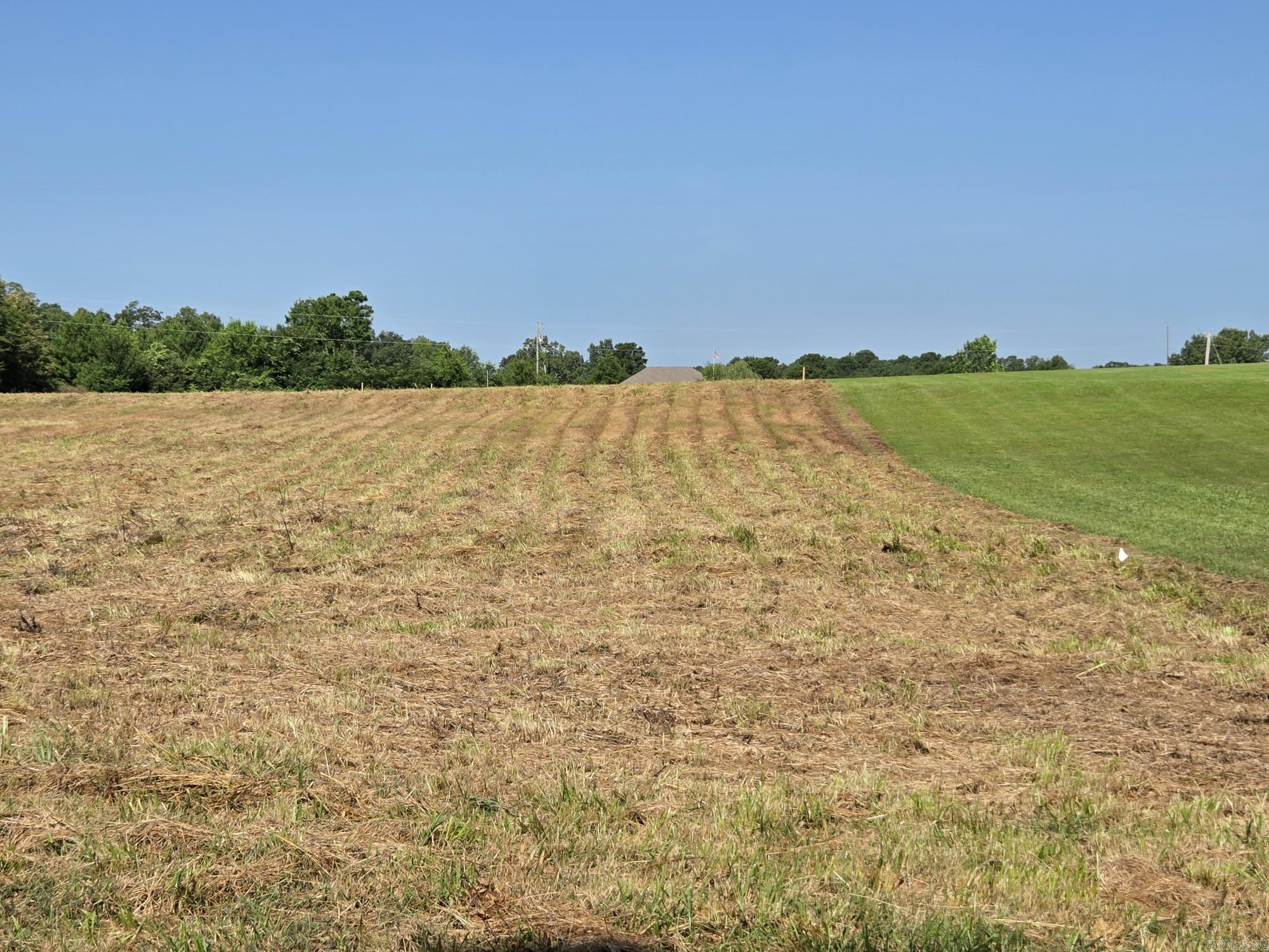 275 Bloodworth  Searcy, AR