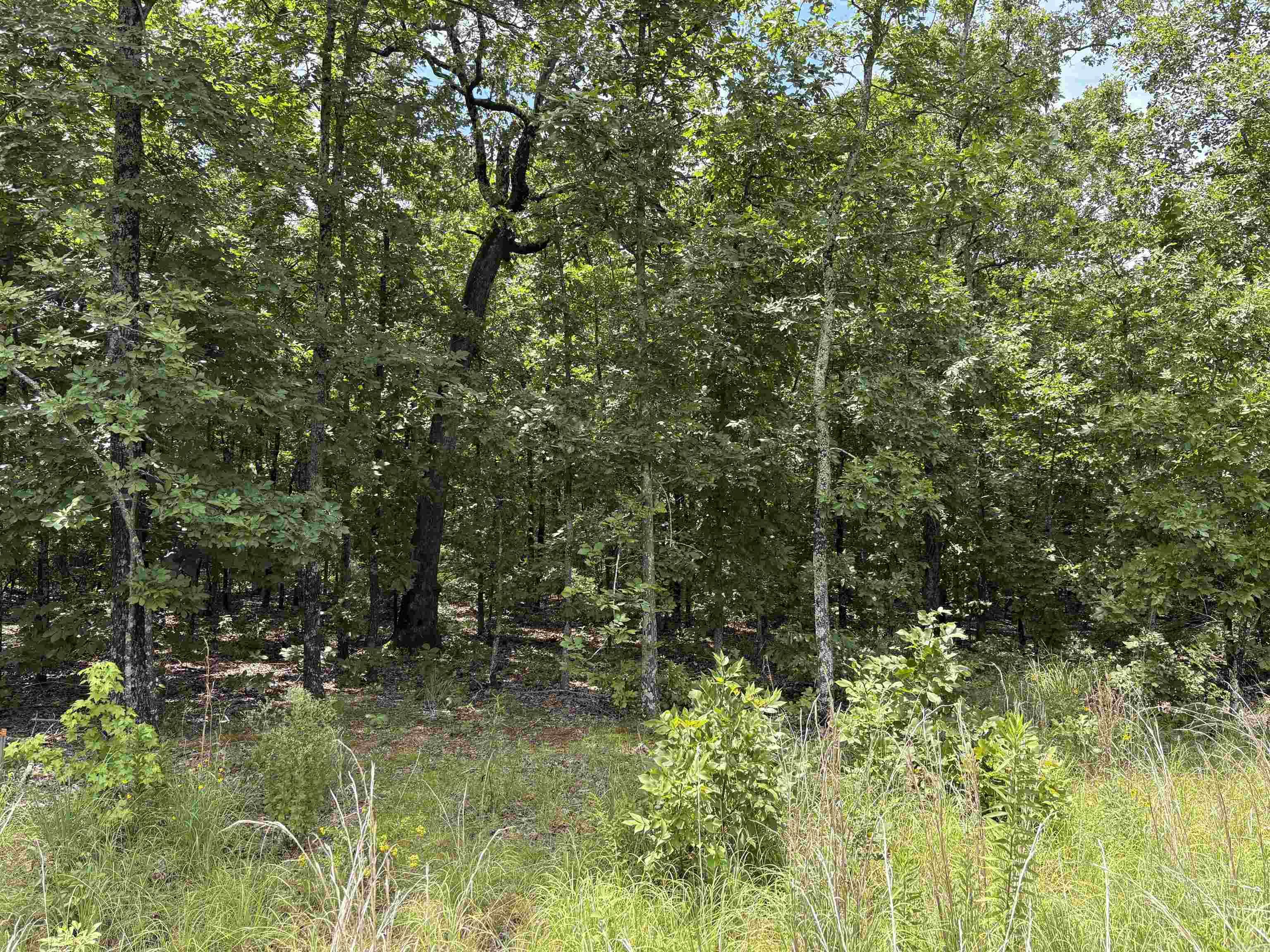  Rebecca  Sherwood, AR
