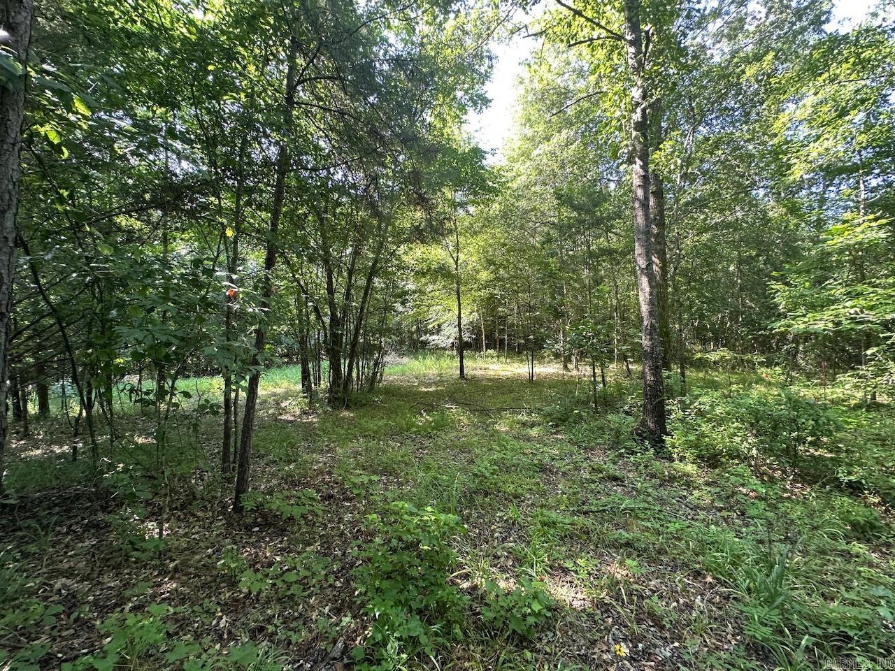 5047 Hwy 70 W  Newhope, AR