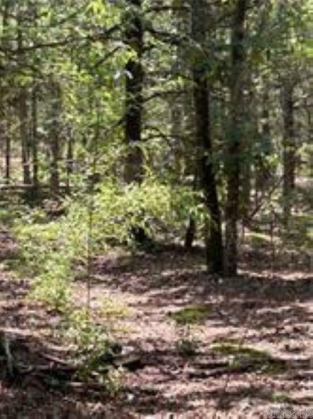 10108 Blevins Hill  Dardanelle, AR