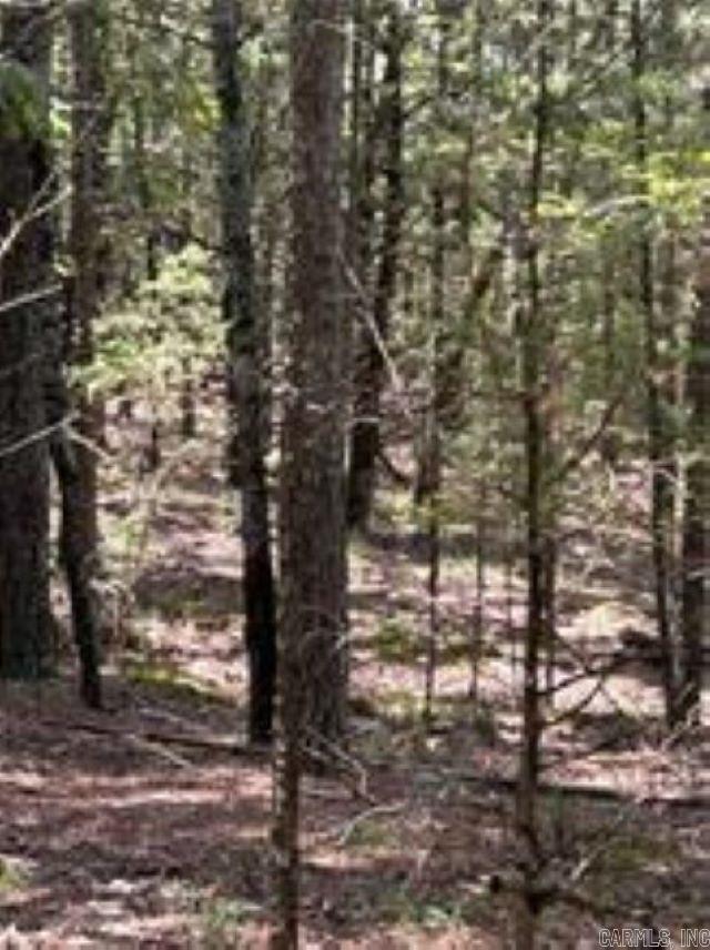 10108 Blevins Hill  Dardanelle, AR