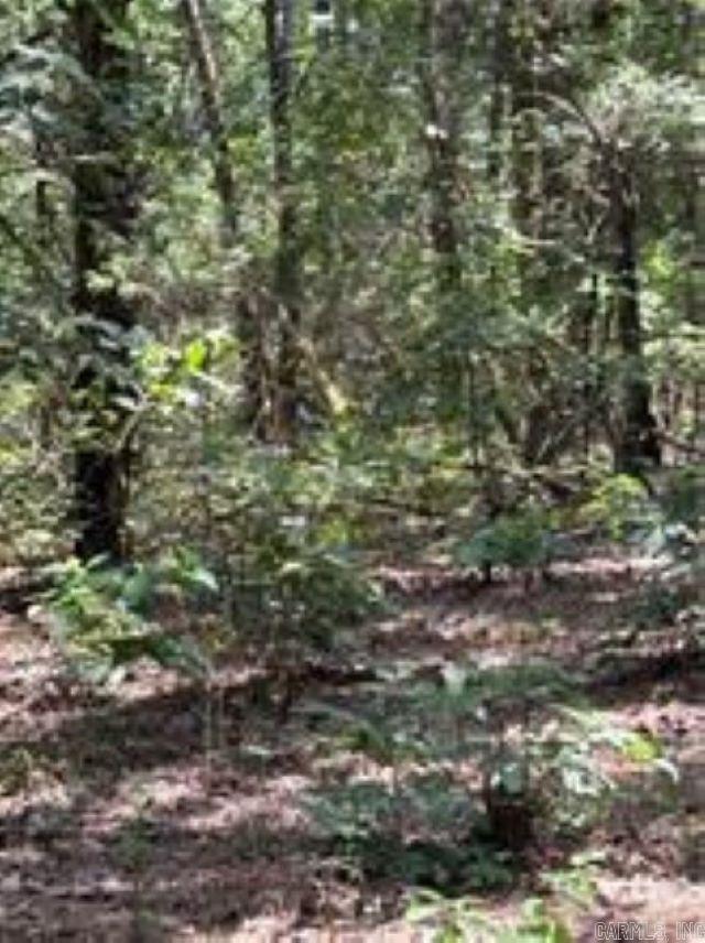 10108 Blevins Hill  Dardanelle, AR