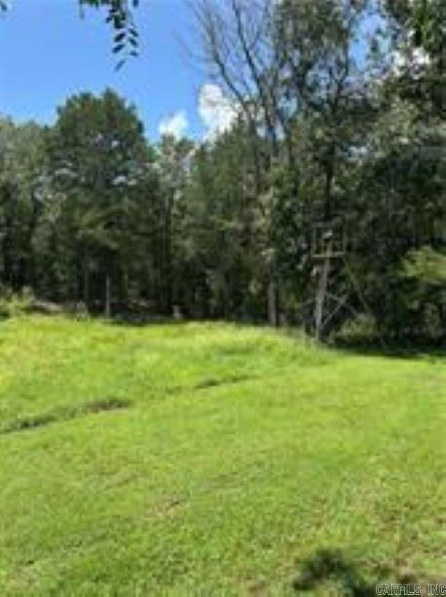 10108 Blevins Hill  Dardanelle, AR