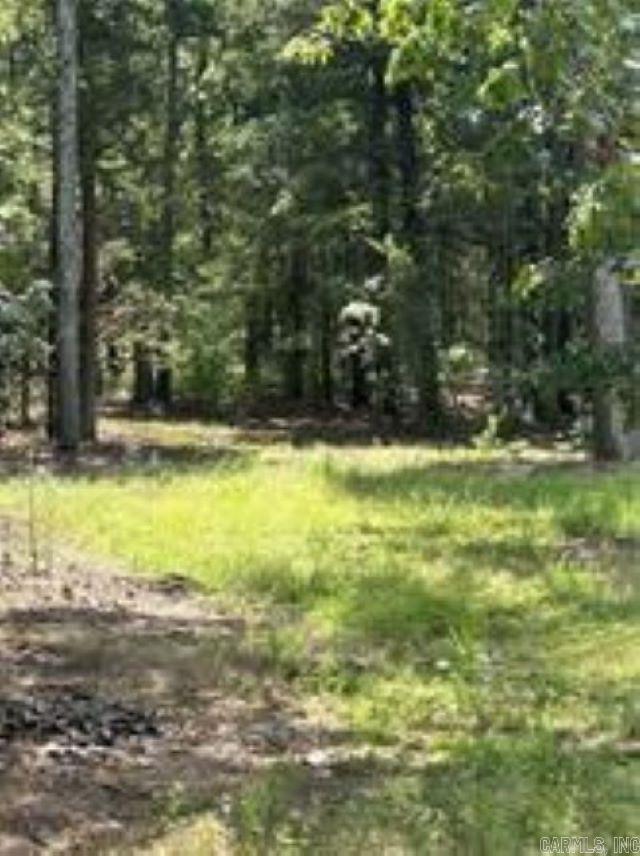 10108 Blevins Hill  Dardanelle, AR