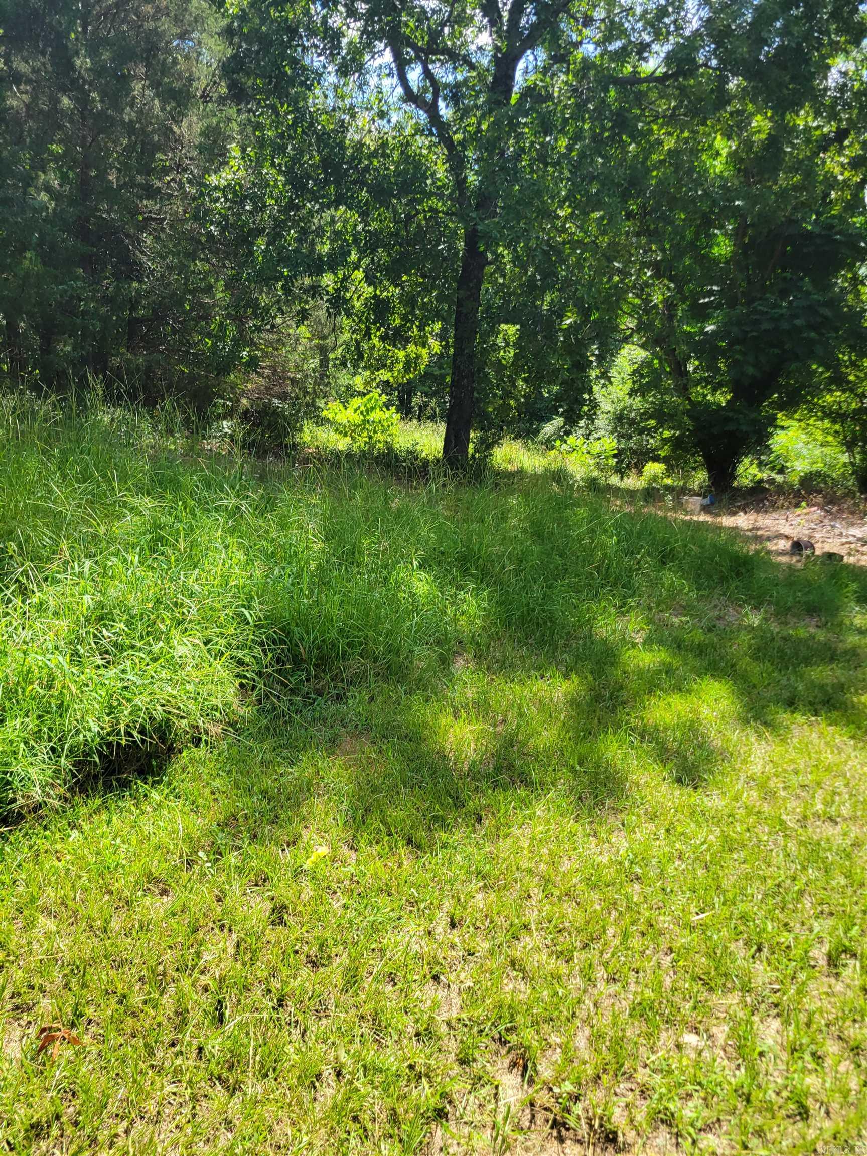 948 Otto  Conway, AR