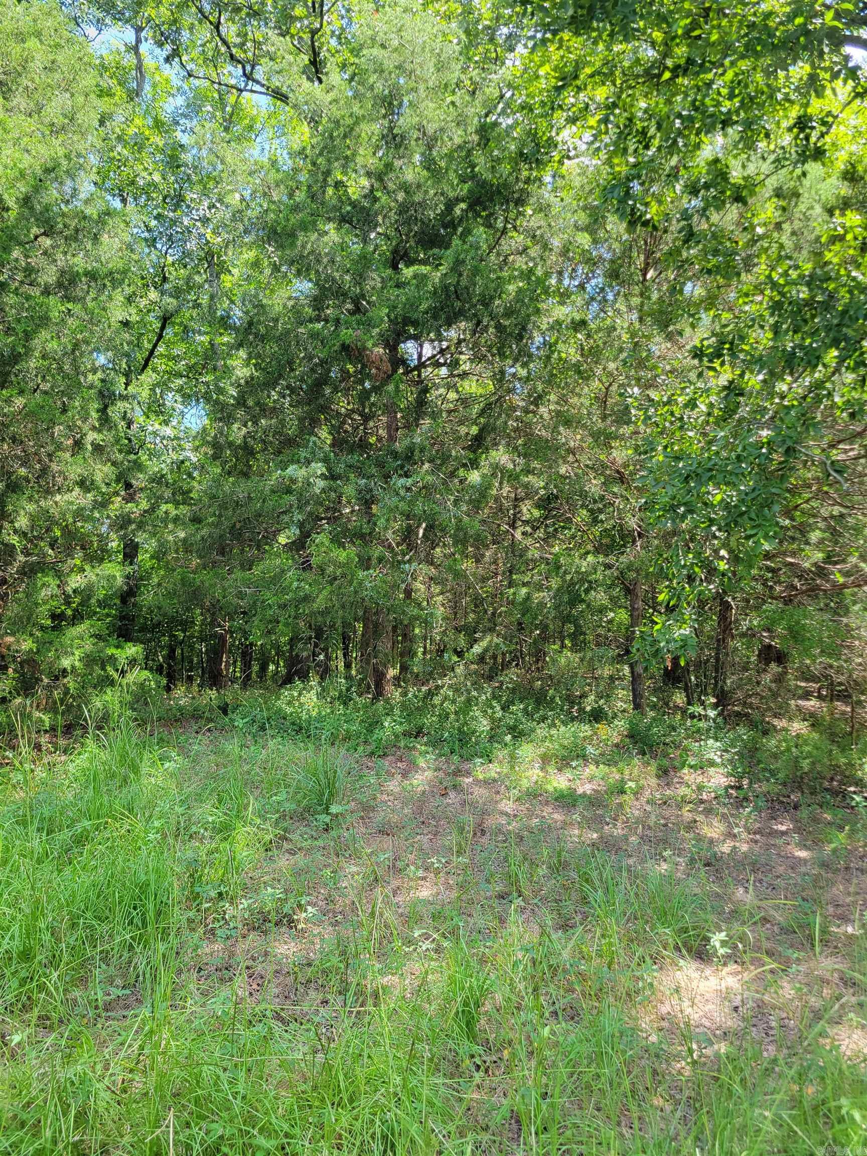 948 Otto  Conway, AR