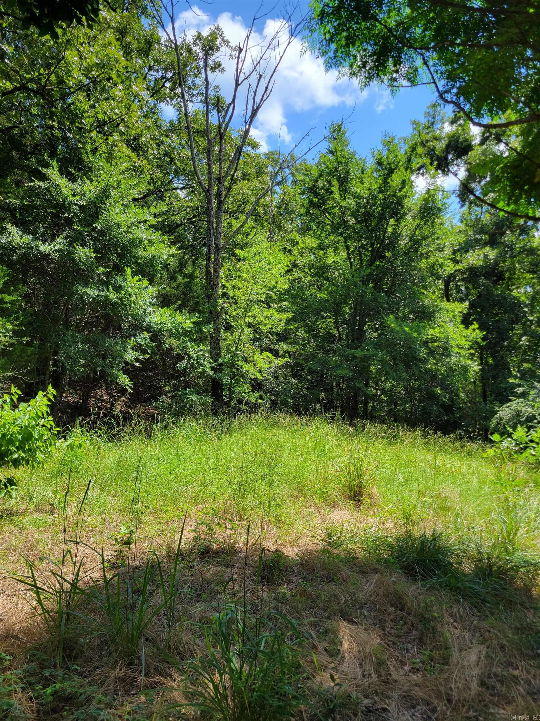 948 Otto  Conway, AR