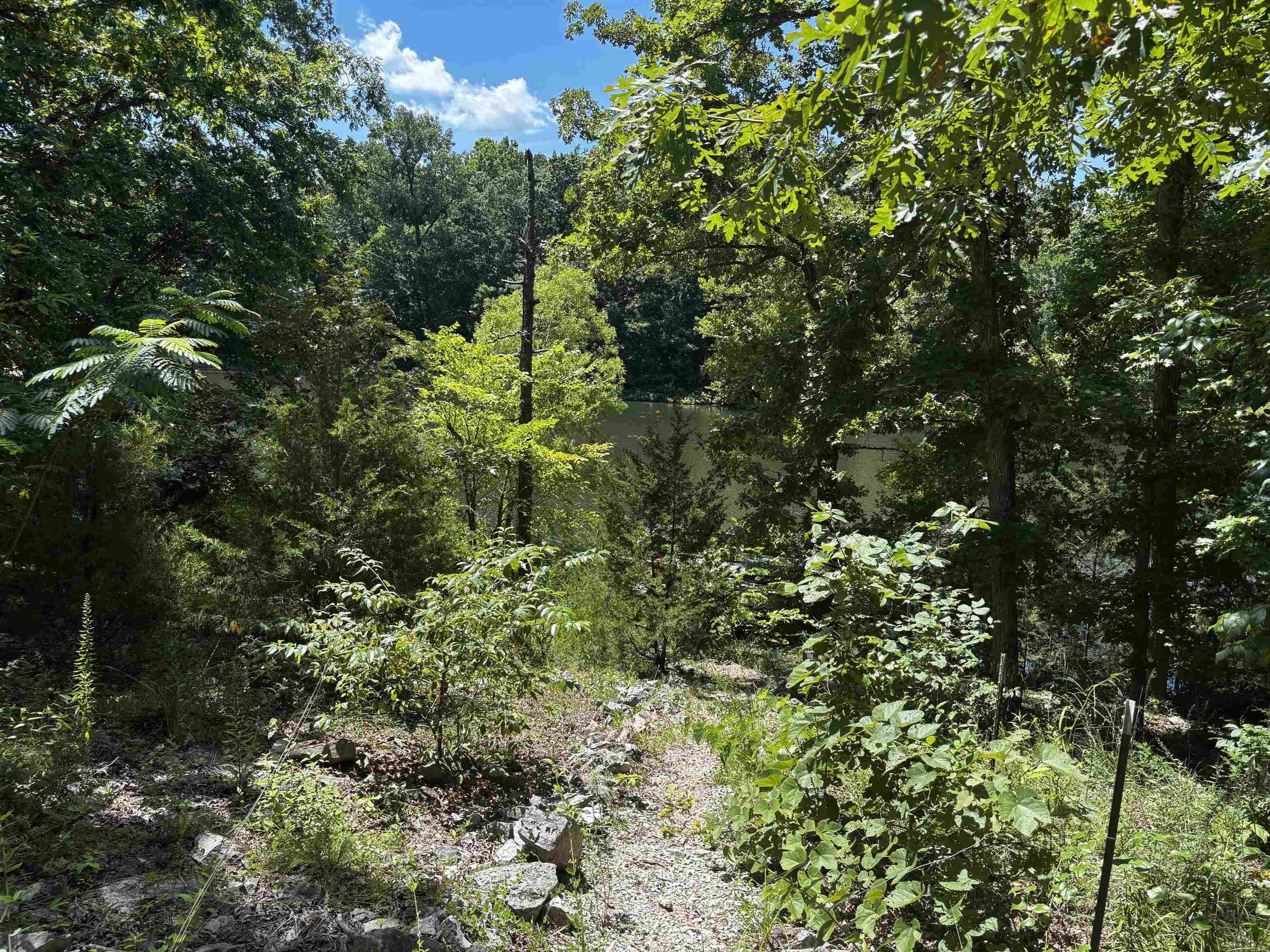 48 E Lakeshore  Williford, AR
