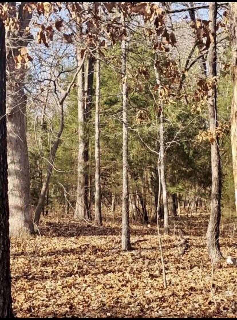 41 Winnebago  Cherokee Village, AR