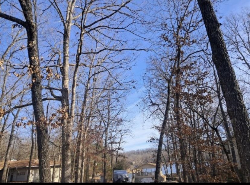 41 Winnebago  Cherokee Village, AR