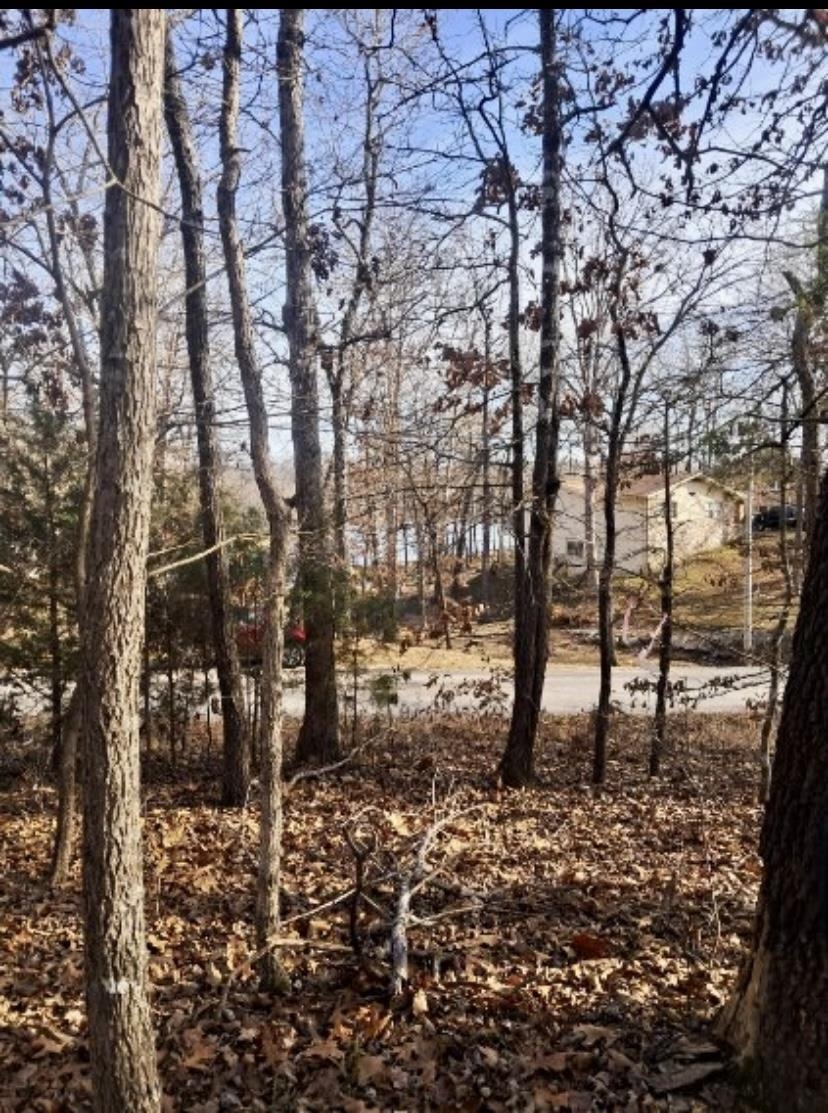 41 Winnebago  Cherokee Village, AR