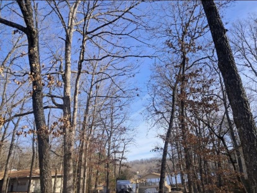 41 Winnebago  Cherokee Village, AR
