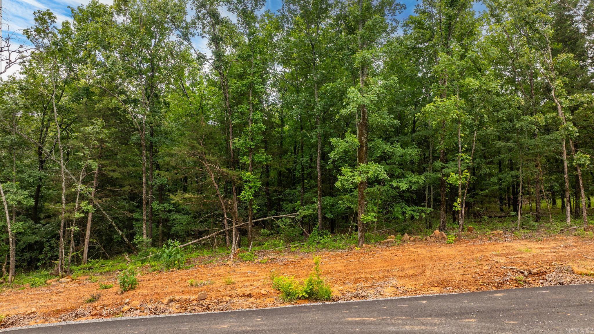 19 Sky Eagle Drive  Greenbrier, AR