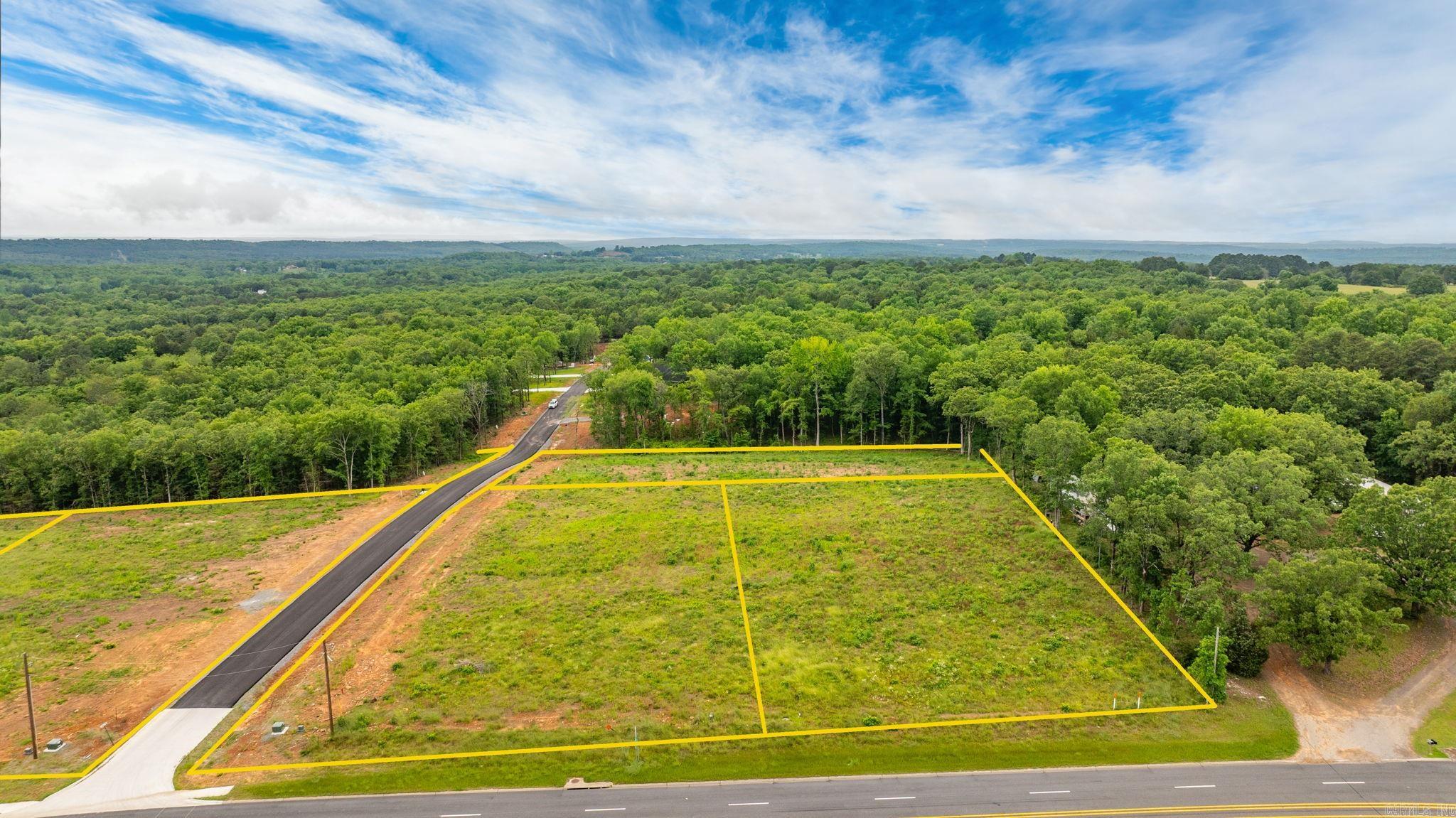 Lot 1 Hwy 65 / Sky Eagle Drive  Greenbrier, AR
