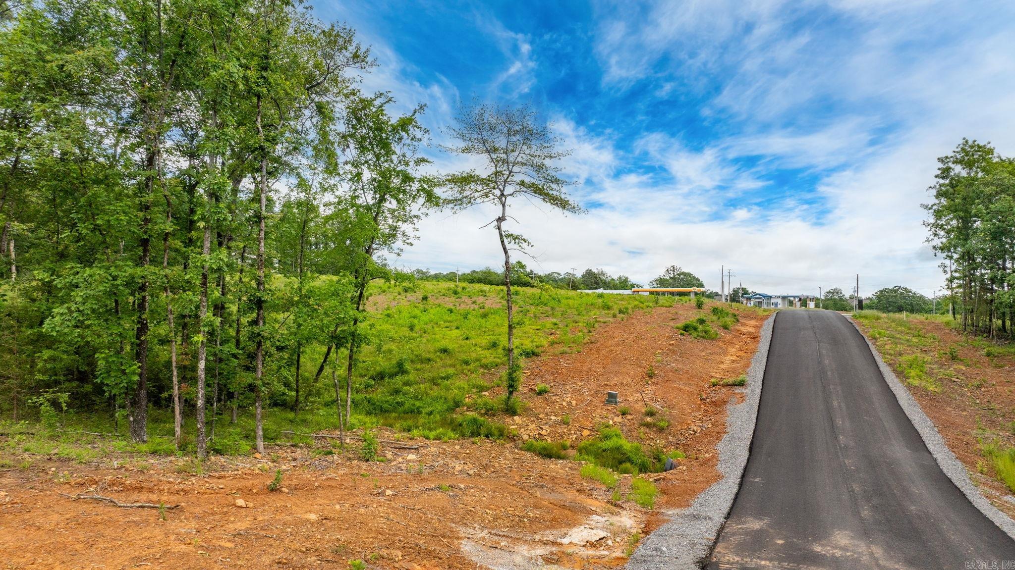 Lot 16 Hwy 65 / Sky Eagle Drive  Greenbrier, AR