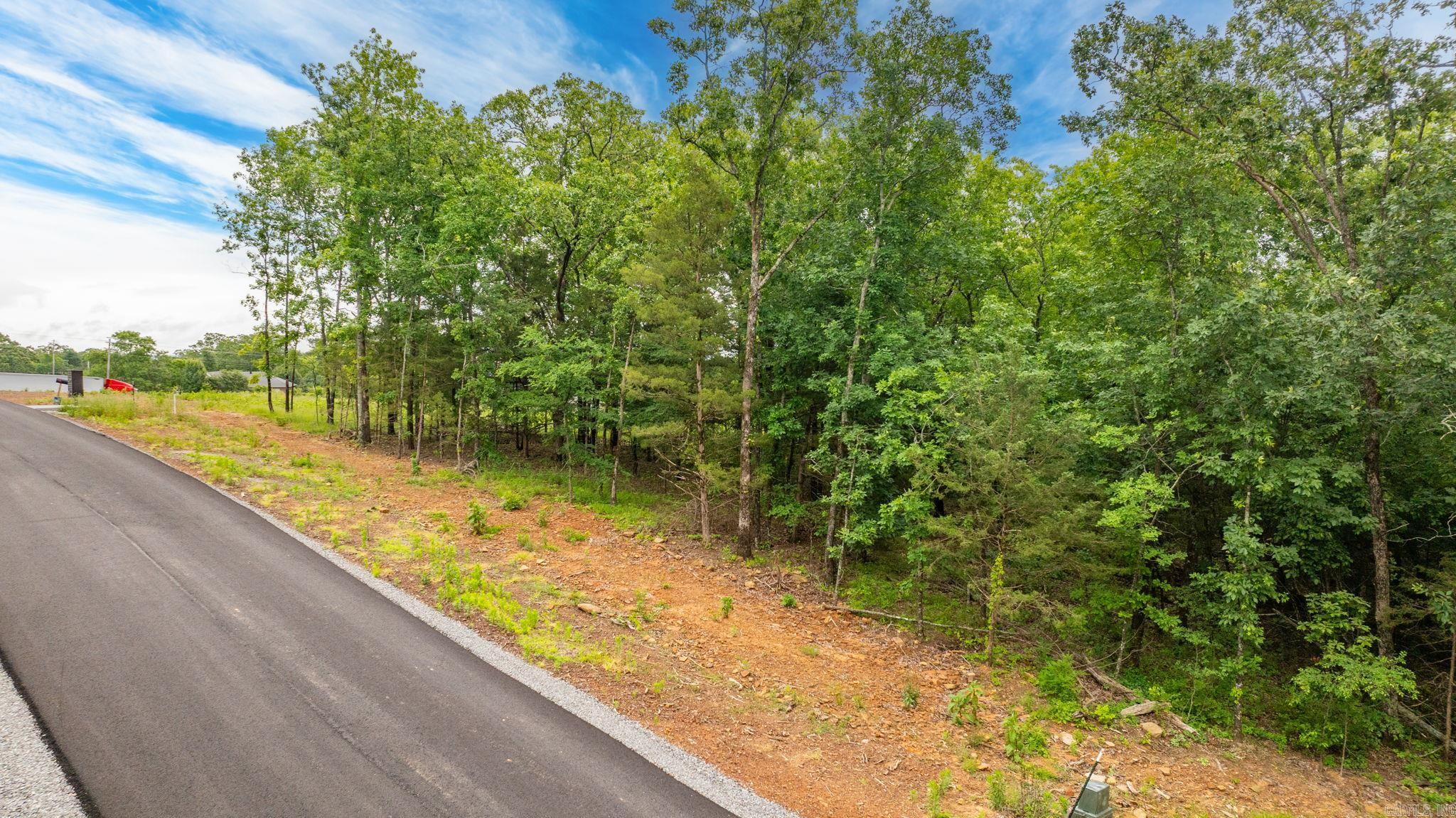 Lot 3 Hwy 65 / Sky Eagle Drive  Greenbrier, AR