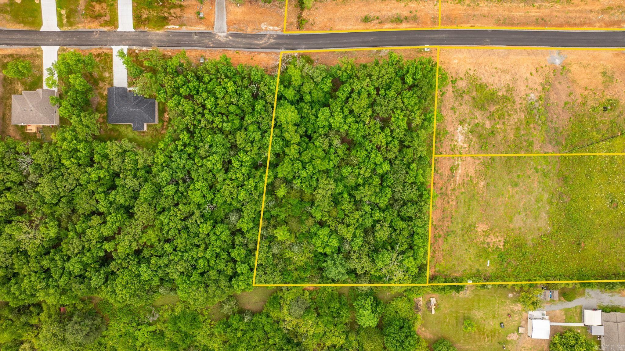Lot 3 Hwy 65 / Sky Eagle Drive  Greenbrier, AR
