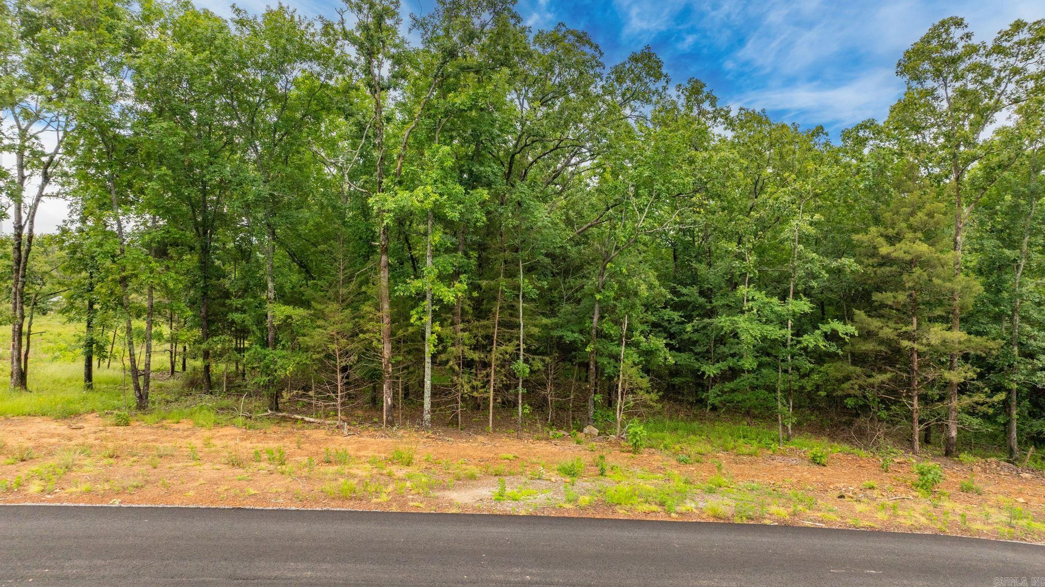 Lot 5 Hwy 65 / Sky Eagle Drive  Greenbrier, AR