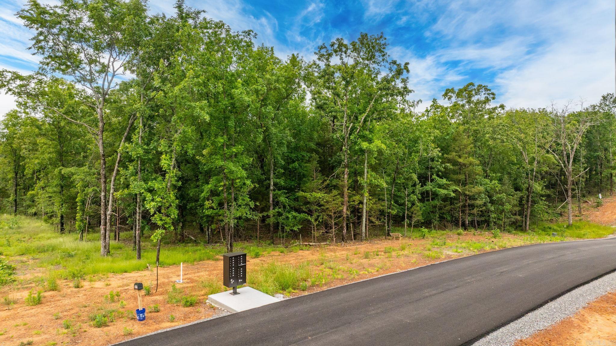 Lot 4 Hwy 65 N  Greenbrier, AR