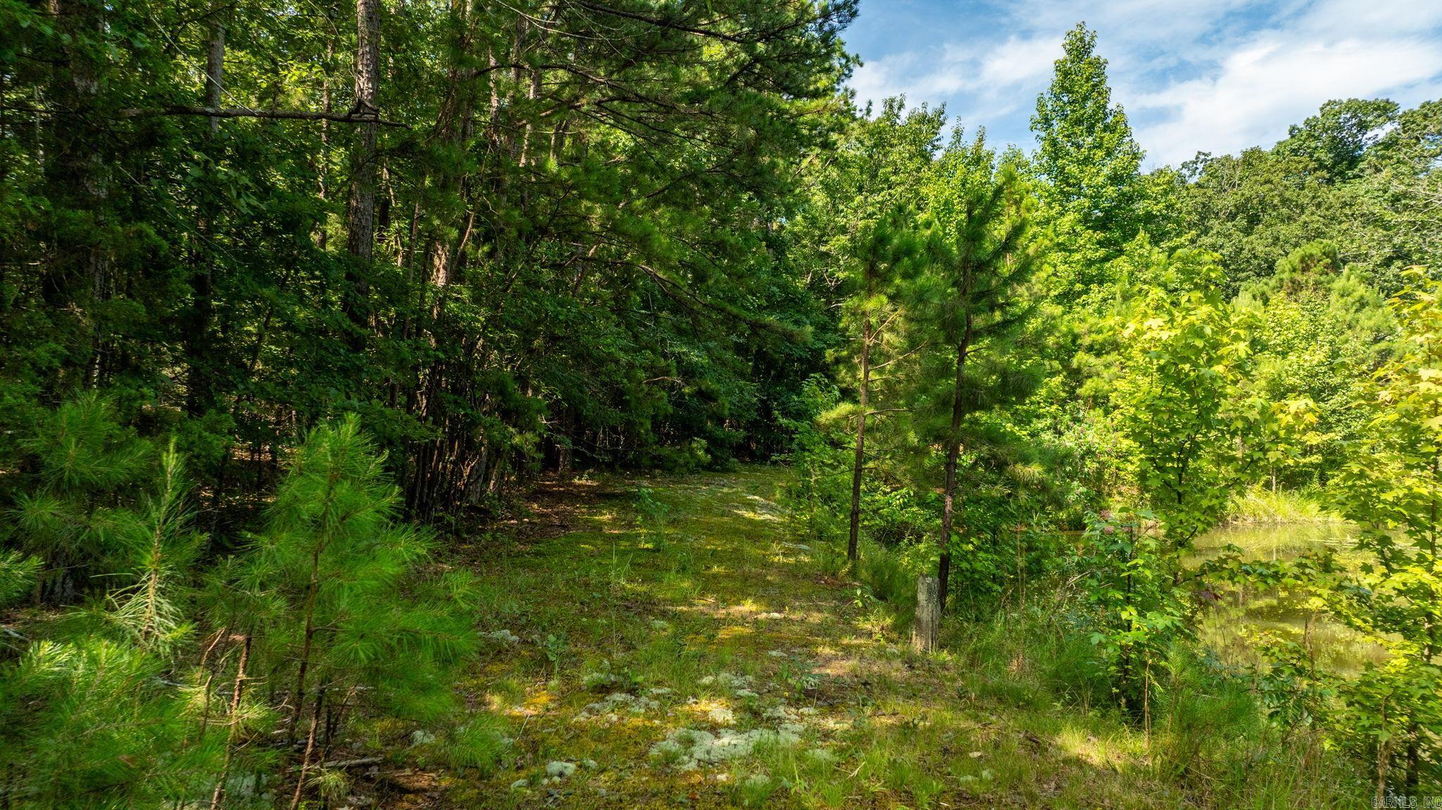 18 Crestview  Conway, AR