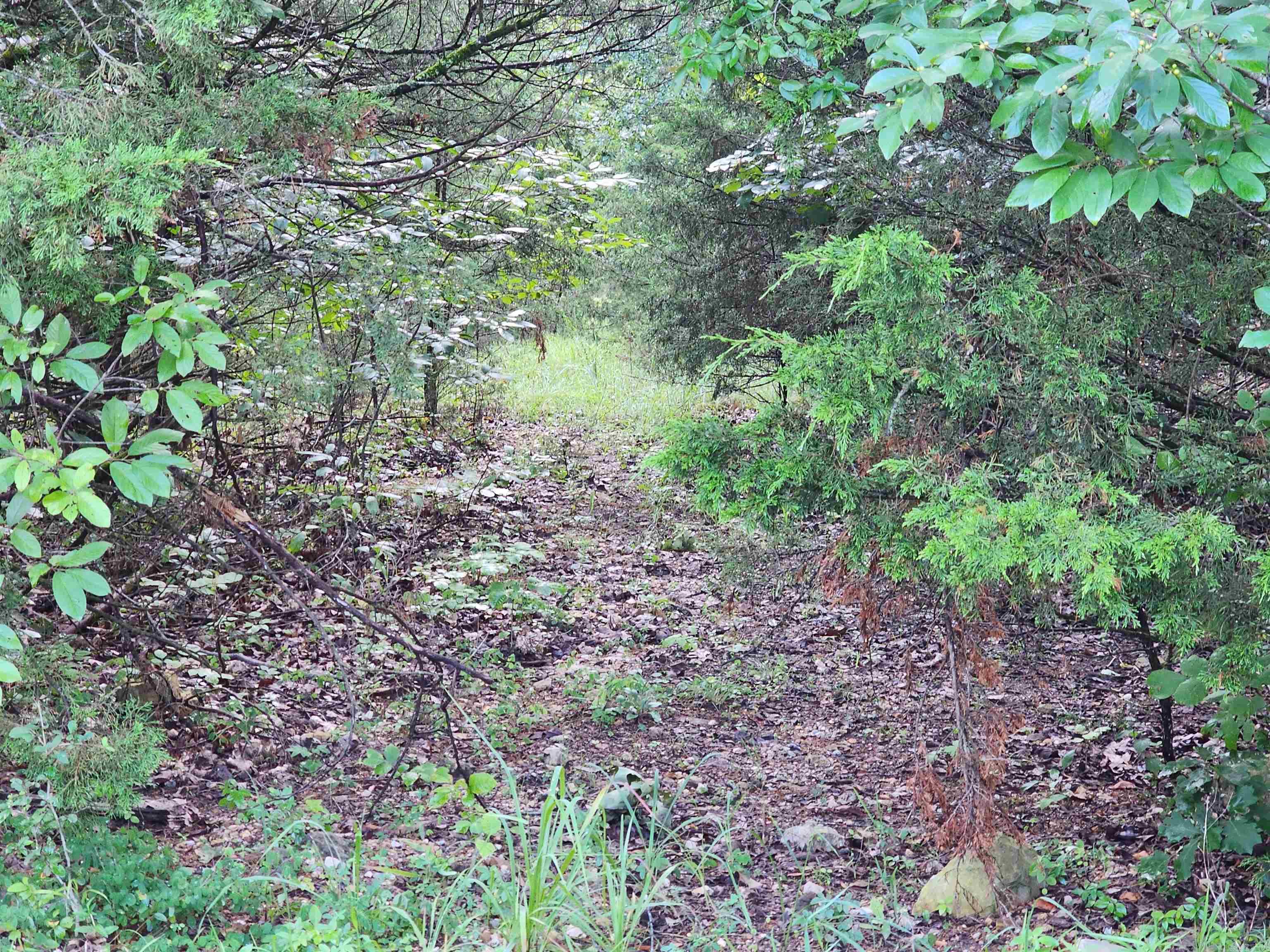 00 Sunset DR  Diamond City, AR