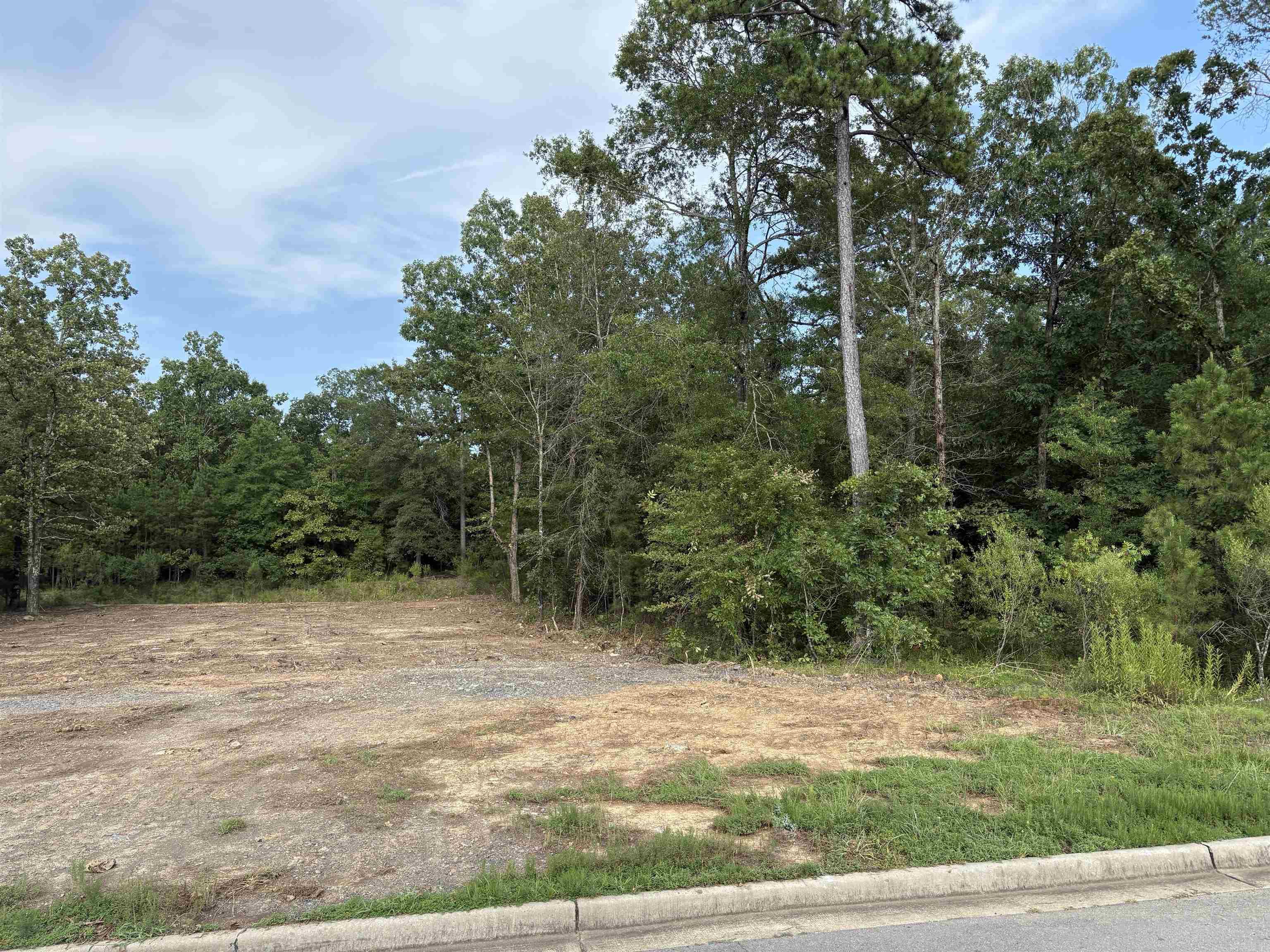 435 Waterview Meadow  Roland, AR