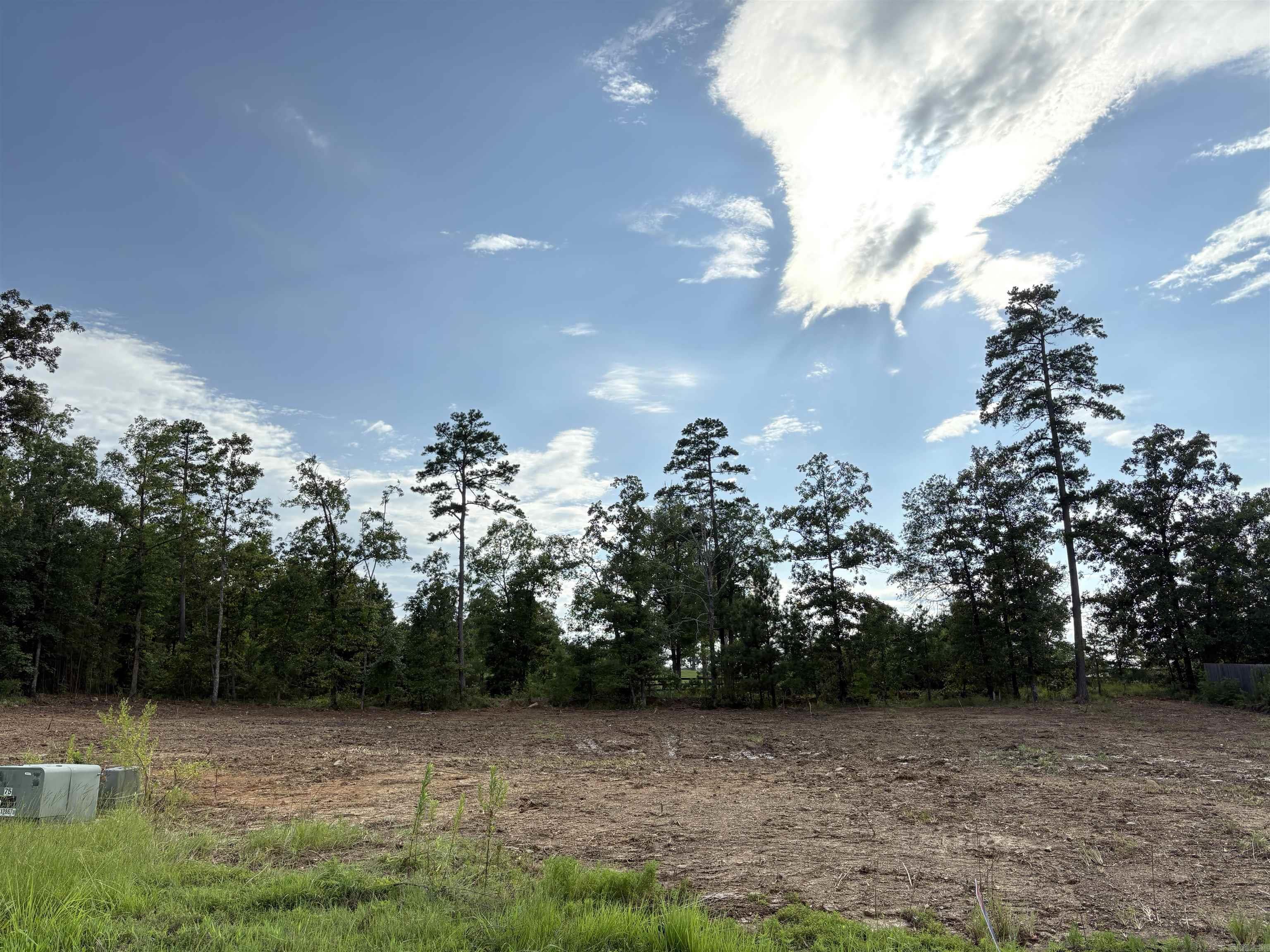 336 Waterview Meadow Lane  Roland, AR