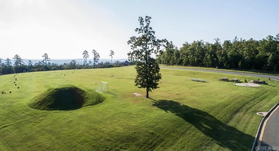 336 Waterview Meadow Lane  Roland, AR