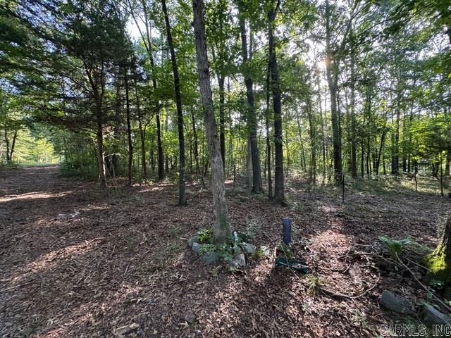 8872 Kristen Cir  Mabelvale, AR