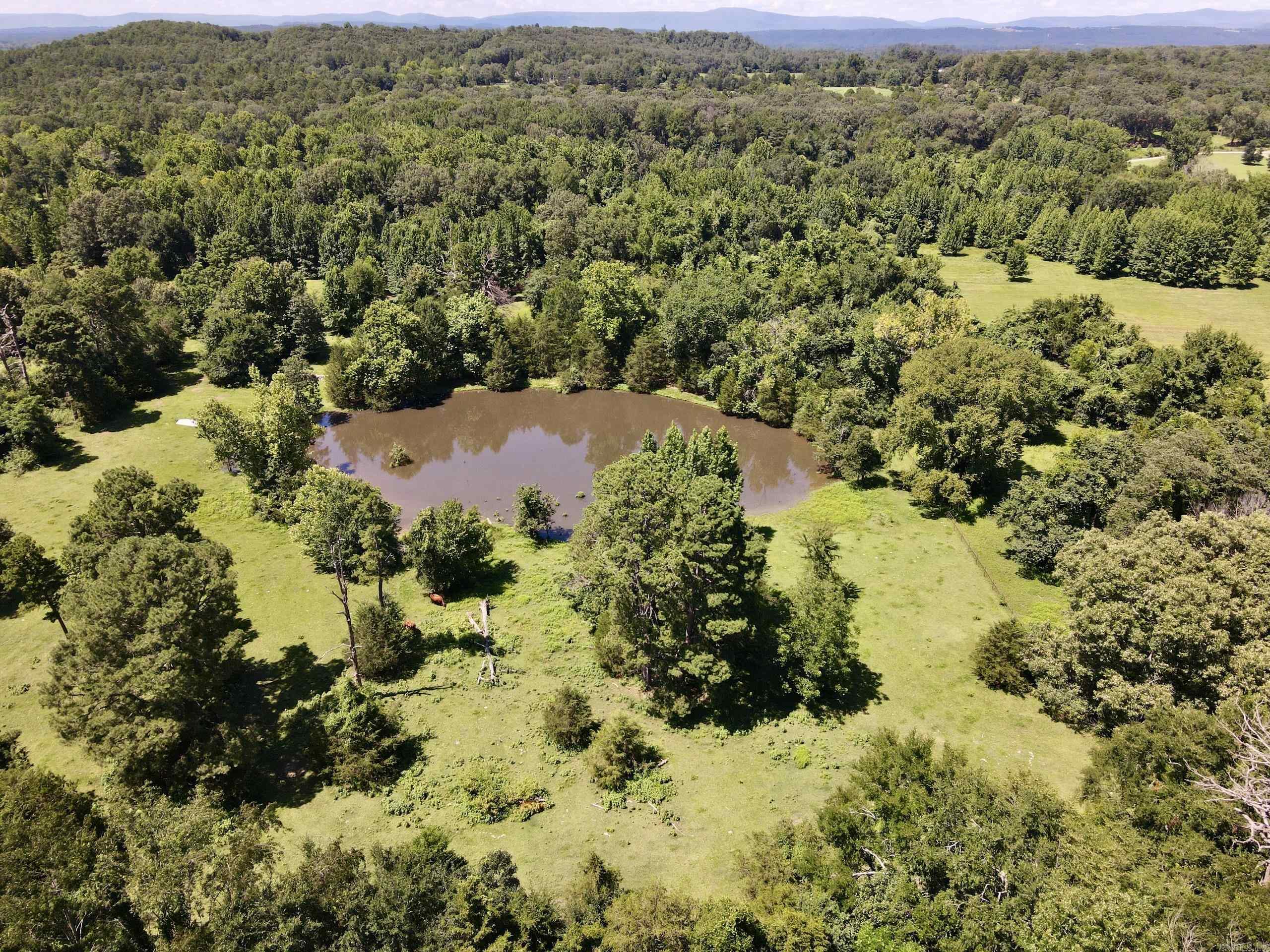 1250 CR 2651  Lamar, AR