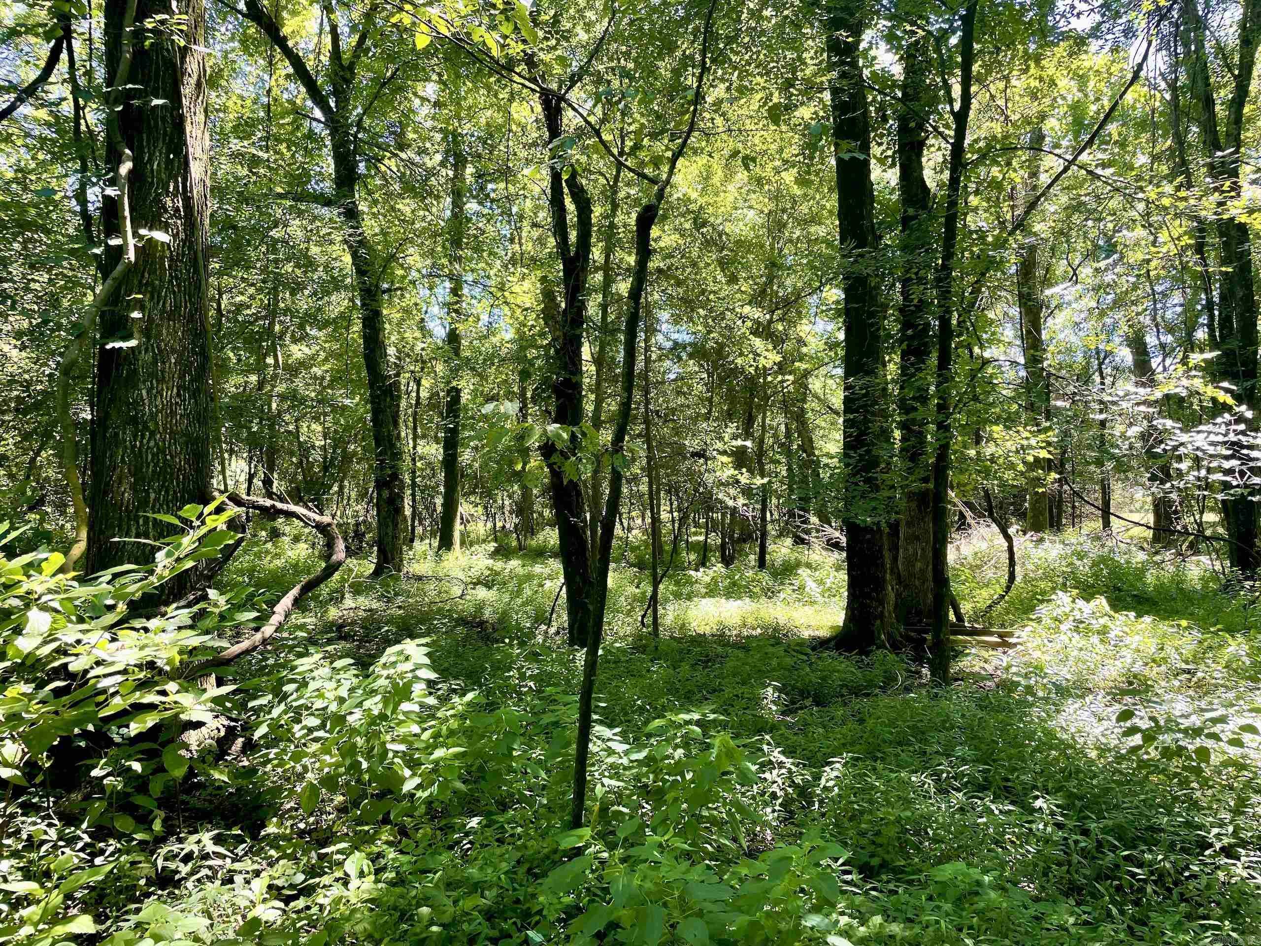 1250 CR 2651  Lamar, AR