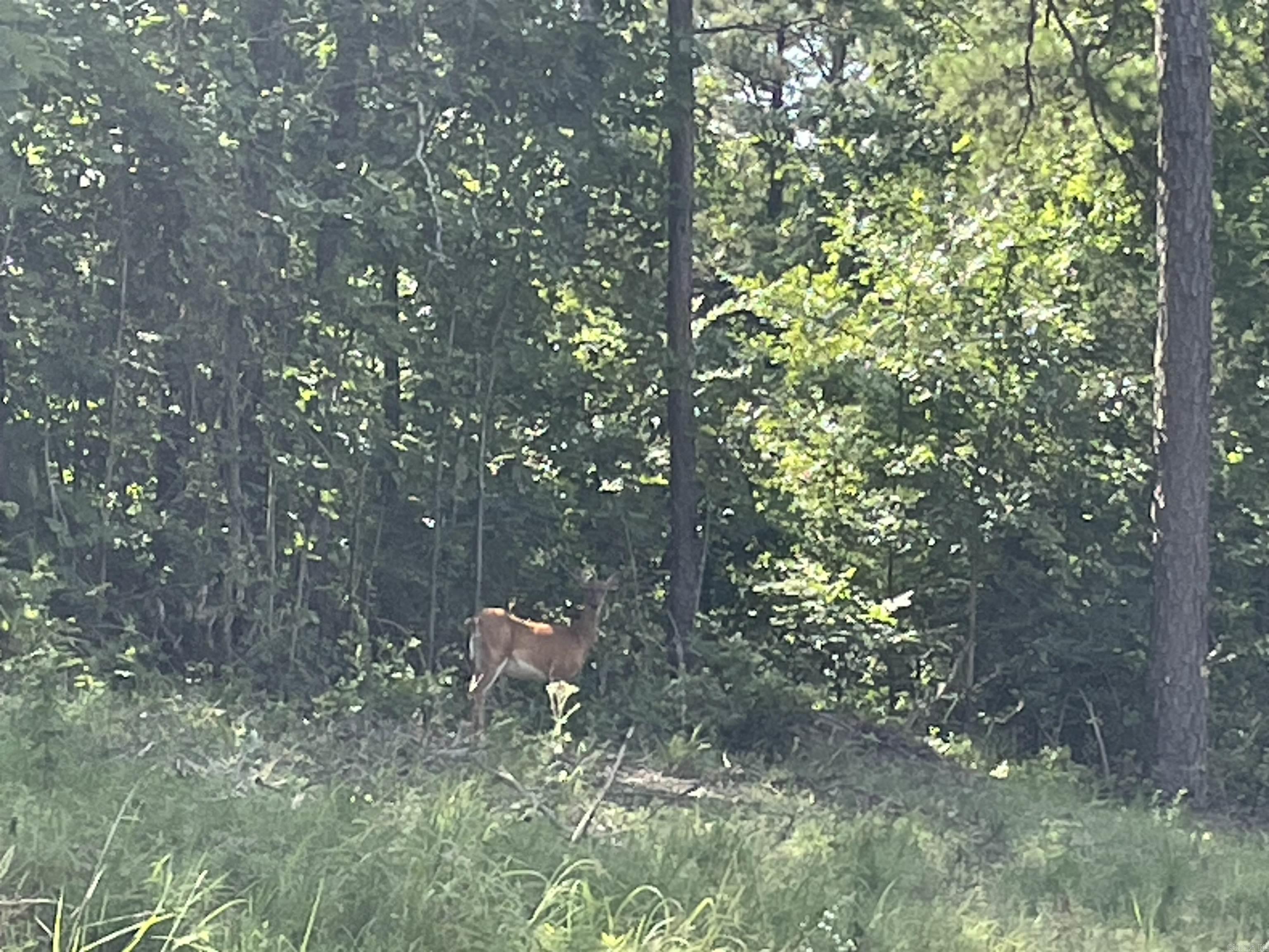  Stowe  Heber Springs, AR
