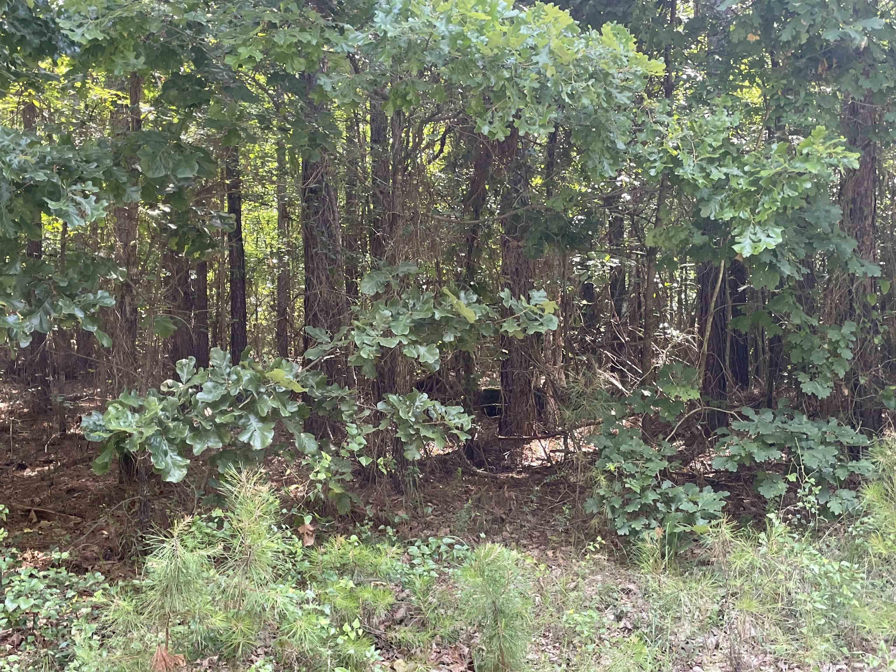  Stowe  Heber Springs, AR