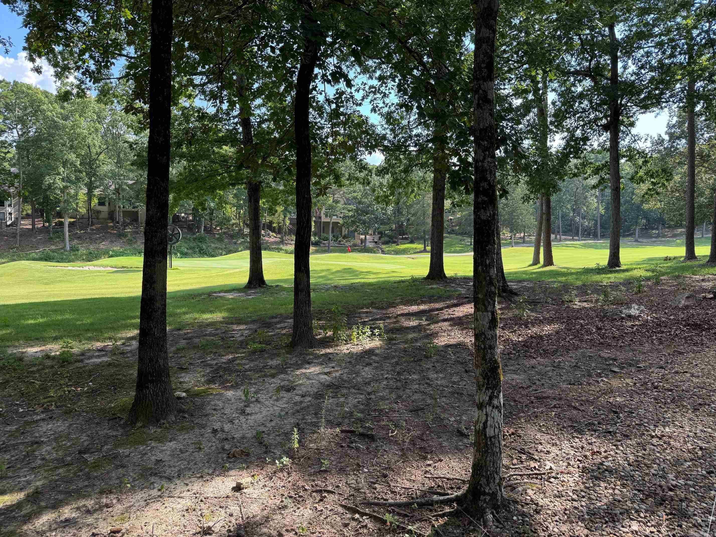 16 PONCE DE LEON CIRCLE  Hot Springs Village, AR
