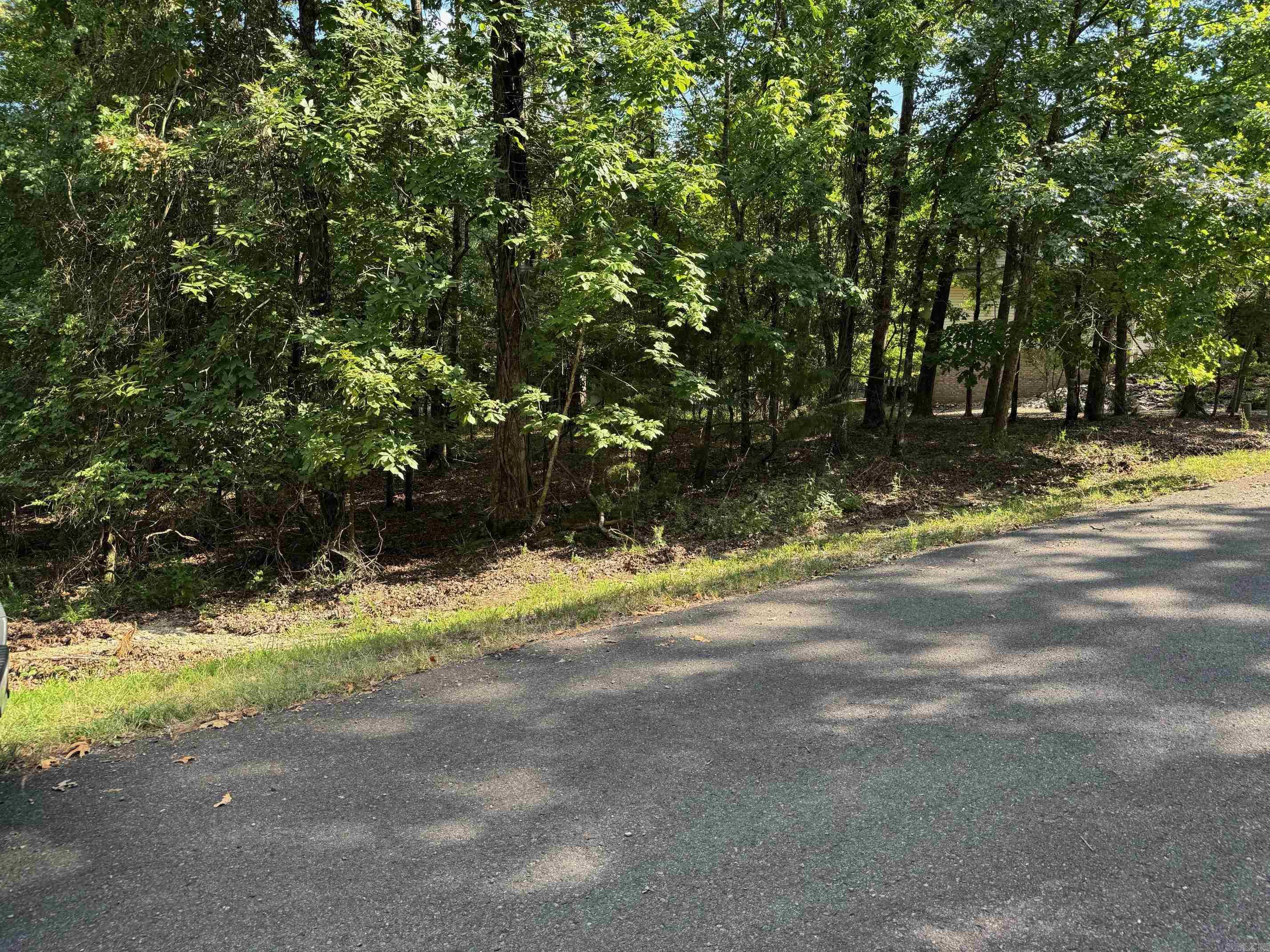 16 PONCE DE LEON CIRCLE  Hot Springs Village, AR